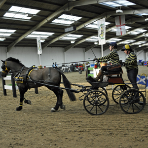 2013 Indoor Champs 03